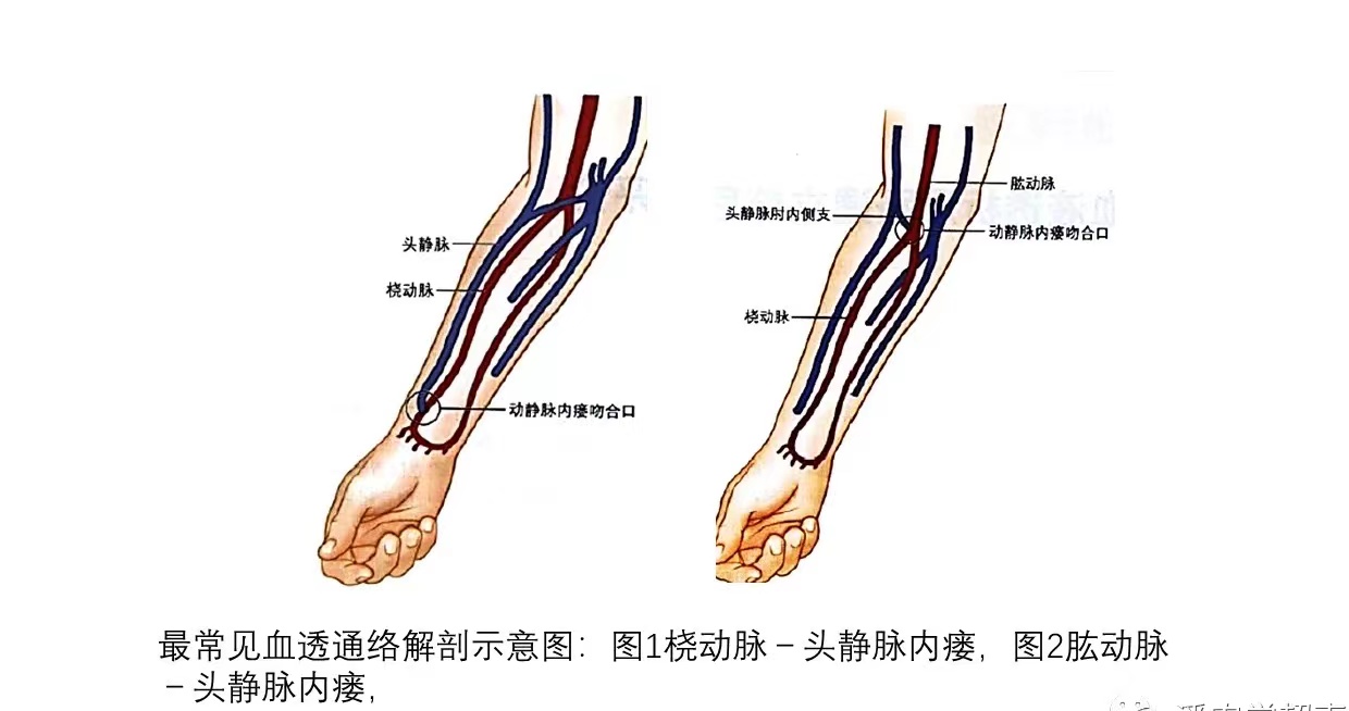 微信图片_202406200819452.jpg